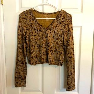 AEO Soft and Sexy Leopard Crop Top